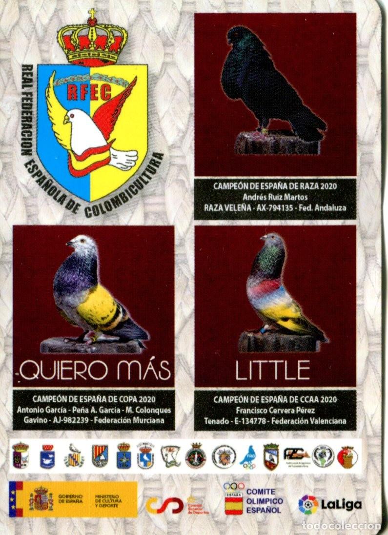 Coleccionismo calendarios: Calendario publicitario Real Federaci&oacute;n Espa&ntilde;ola de Colombicultura a&ntilde;o 2022 Palomas Animales Aves
