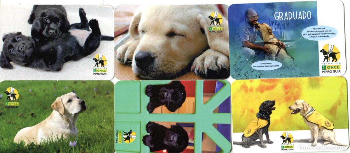 Coleccionismo calendarios: 6 Calendarios publicitario Fundacion ONCE Perro Guia A&ntilde;os 2019 y 2021