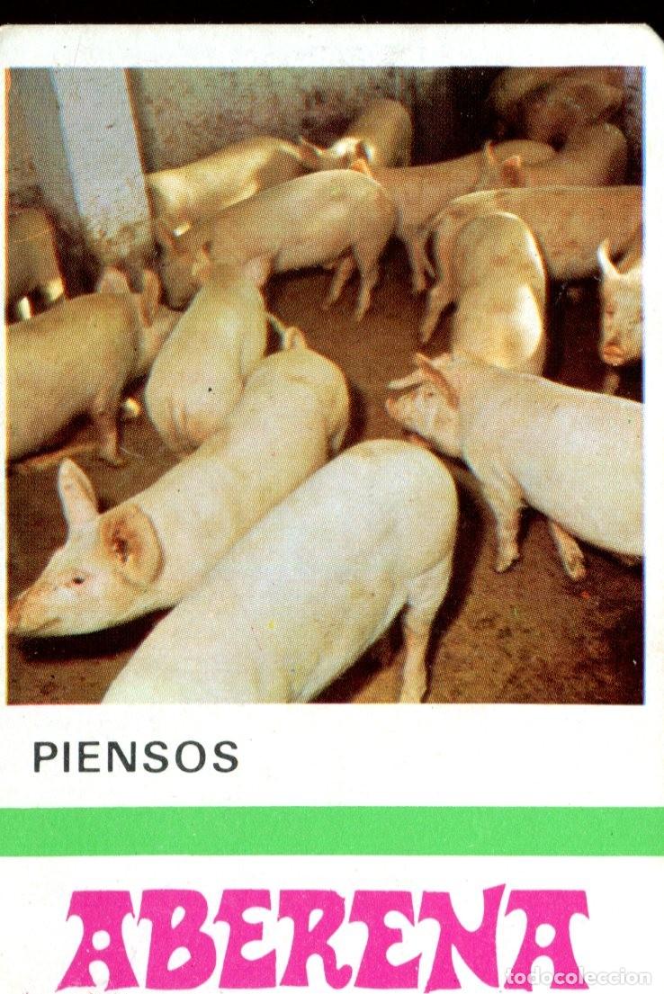Sammeln von Kalendern: CALENDARIO BOLSILLO ANIMAL 1982 (GANADO - PIENSOS ABERENA. MUNGIA
