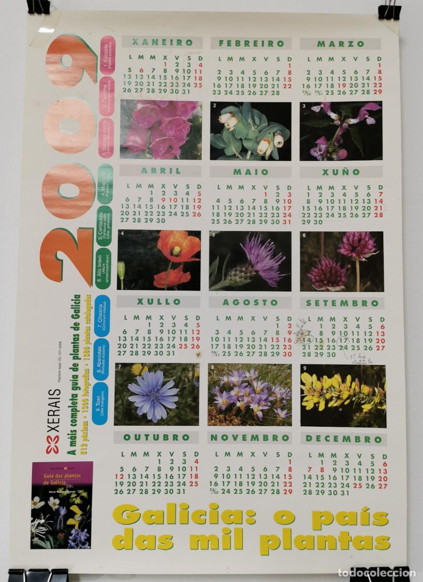 Colecionismo Calend&aacute;rios: POSTER CALENDARIO A&Ntilde;O ANO 2009 EDITORIAL XERAIS
