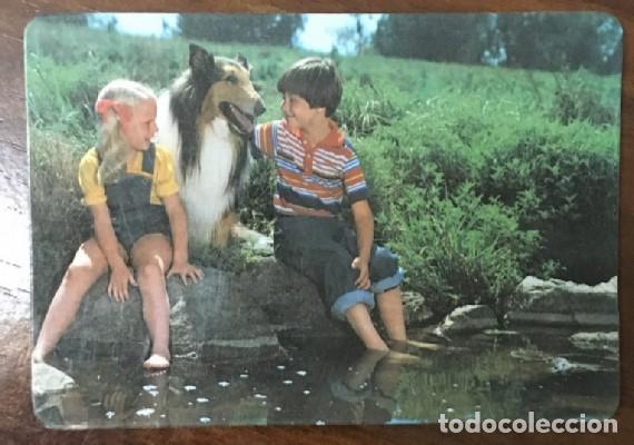 Coleccionismo calendarios: CALENDARIO PERROS A&Ntilde;O 1989 CAL-8596