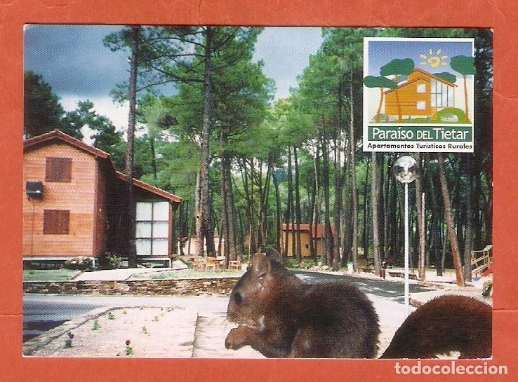 Coleccionismo calendarios: CALENDARIO DE BOLSILLO A&Ntilde;O 2004 PARAISO DEL TIETAR (AVILA) - FAUNA: ARDILLA - VER FOTO REVERSO