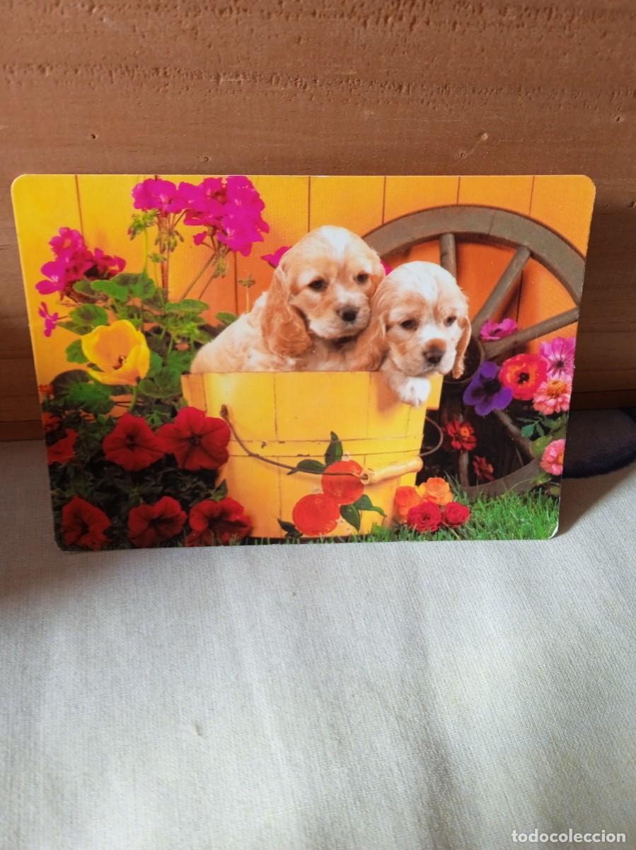 Coleccionismo calendarios: CALENDARIO 2002 CON PERRITOS