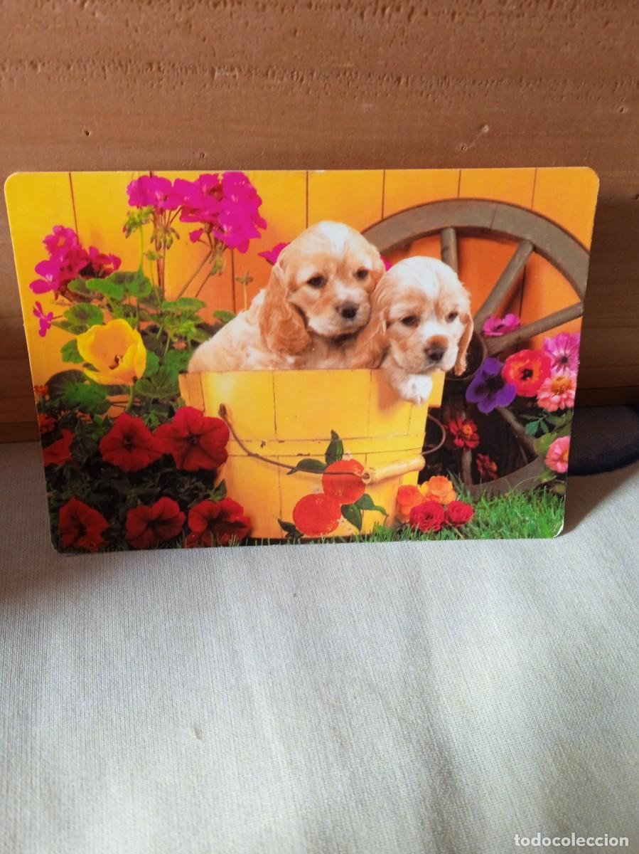Coleccionismo calendarios: CALENDARIO 2002 CON PERRITOS - Foto 2