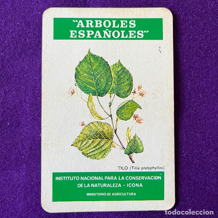 Collectables Calendars: CALENDARIO FOURNIER. ICONA. ARBOLES ESPA&Ntilde;OLES. TILO. 1975.