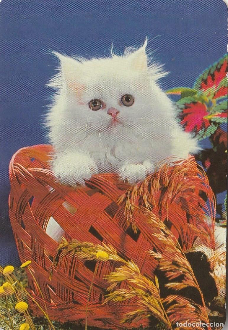 Colecionismo Calend&aacute;rios: CALENDARIO BOLSILLO - FARMACIA J. TUSET PROS - TARRAGONA - GATO - A&Ntilde;O 2000 - FOTO REVERSO