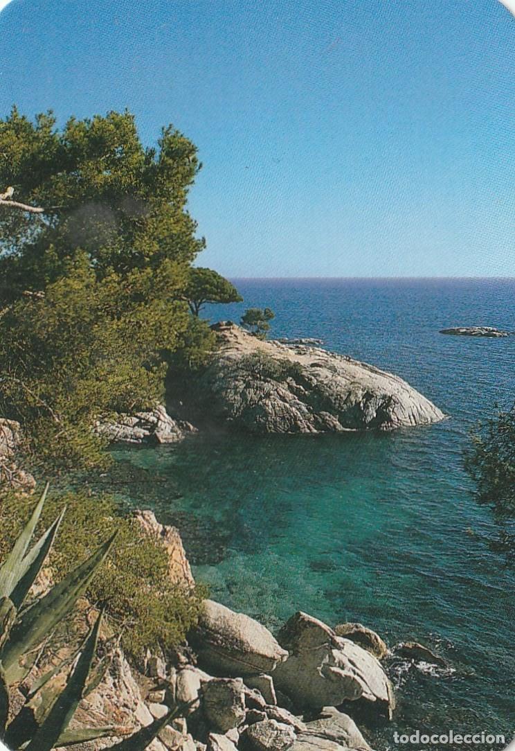 Colecionismo Calend&aacute;rios: CALENDARIO BOLSILLO - COMERCIAL ESCUDO DE ORO - COSTA ROCAS - A&Ntilde;O 2005 - FOTO REVERSO