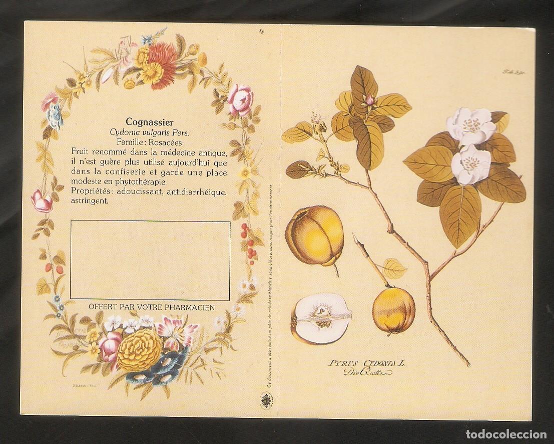 Coleccionismo calendarios: CALENDARIO DE BOLSILLO FRANCIA A&Ntilde;O 1997 FLORA - FLORES - PUBLICIDAD LABORATORIO - VER FOTO REVERSO