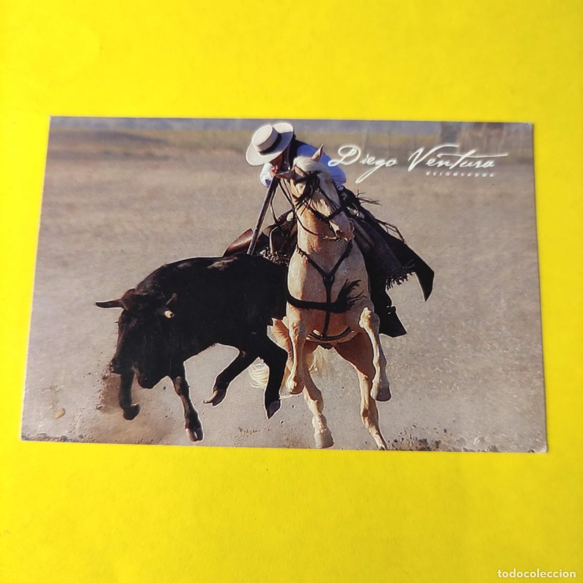 Coleccionismo Calendarios: CALENDARIO TAURINO . DIEGO VENTURA . REJONEADOR 2010 ** APODERADO CASA MANTILLA ** 2010 ** **