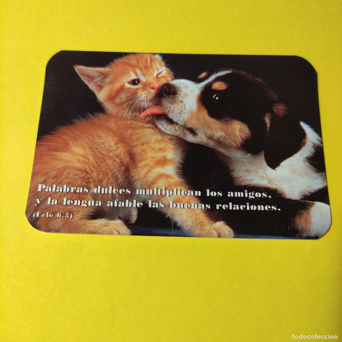 Coleccionismo Calendarios: CALENDARIO .PERROS Y GATOS . FRASES 2001 ** LIBRERIA SAN PABLO ** T2