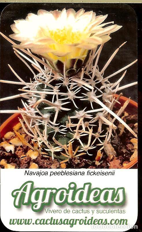 Coleccionismo Calendarios: CALENDARIO PUBLICITARIO - 2021 - CACTUS AGROIDEAS