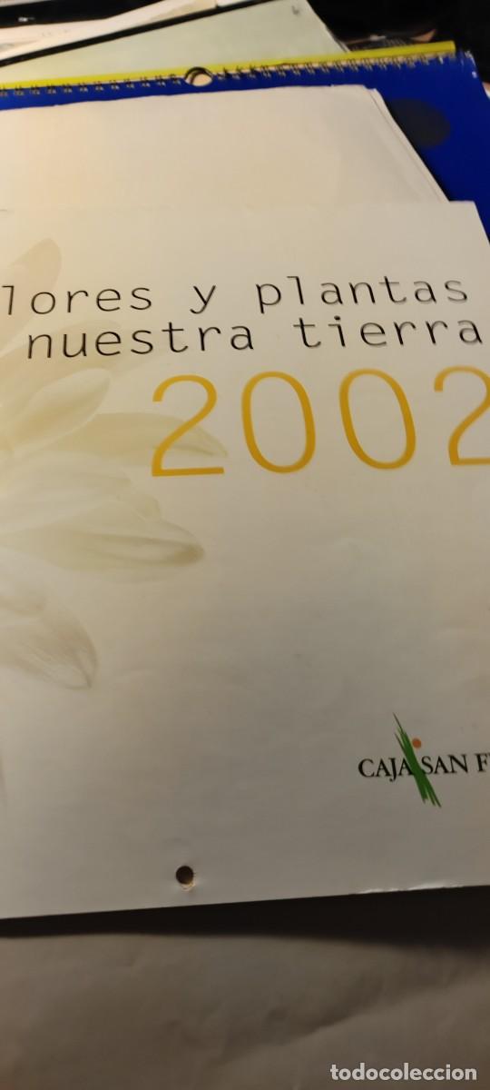 Sammeln von Kalendern: CALENDARIO FLORES Y P`LANTAS DE NUESTRA TIERRA 2002