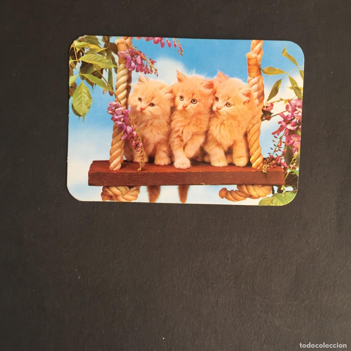 Coleccionismo calendarios: CALENDARIO GATITOS A&Ntilde;O 1982 -VER FOTOS QUE NO TE FALTE EN TU COLECCI&Oacute;N
