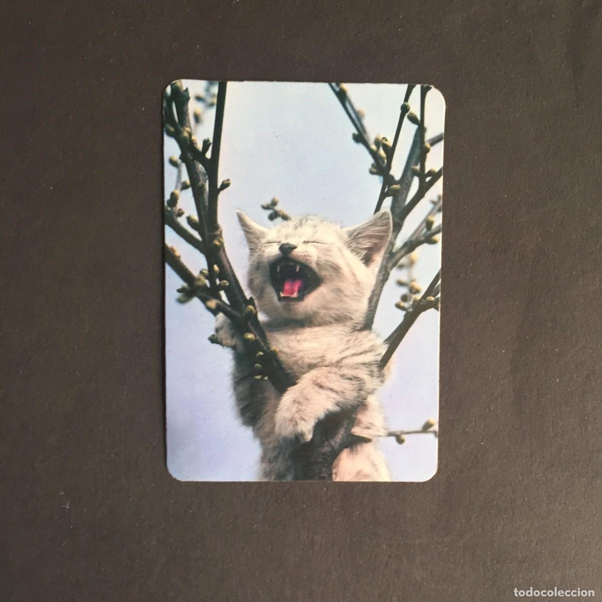 Coleccionismo calendarios: CALENDARIO GATO ENFADADO A&Ntilde;O 1982 -VER FOTOS QUE NO TE FALTE EN TU COLECCI&Oacute;N