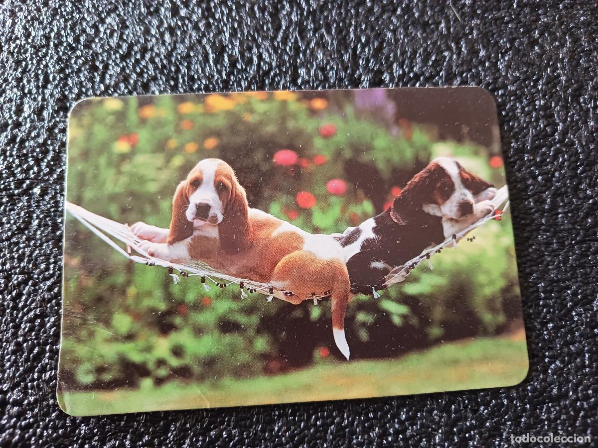 Collectables Calendars: publicitario, 1992, mon animal, barcelona, perritos