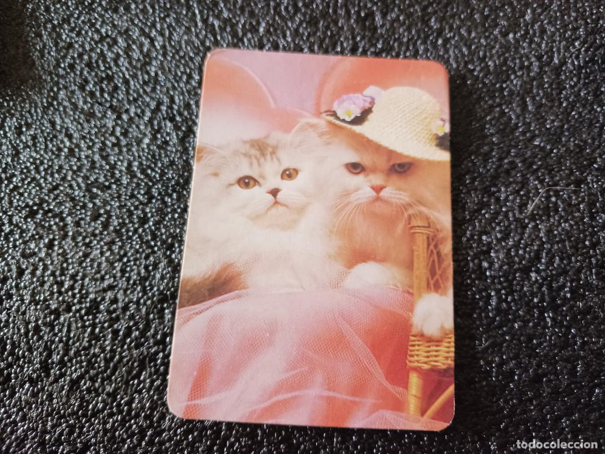 Collectables Calendars: publicitario, 1992, mon animal, barcelona, gatitos