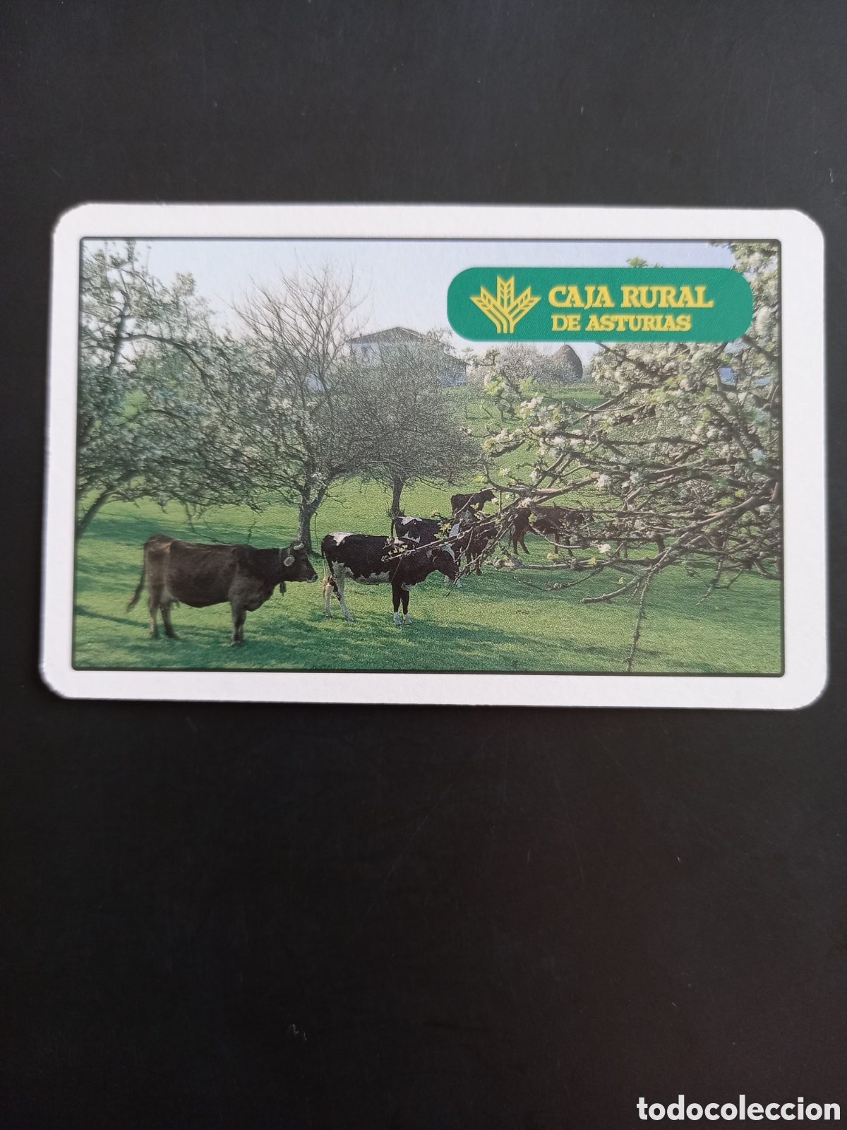 Coleccionismo calendarios: CALENDARIO DE BOLSILLO A&Ntilde;O 1997 - H. FOURNIER PUBLICITARIO CAJA RURAL DE ASTURIAS