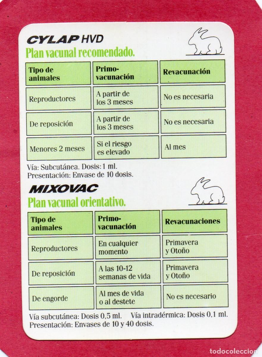 Collezionismo Calendari: Calendario de Publicidad 1991 - CYLAP HVD - MIXOVAG