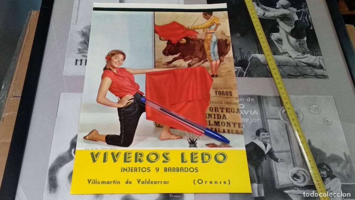 Colecionismo Calend&aacute;rios: CALENDARIO LAMINA BELLA IMAGEN DE 1962 - SERIE FIESTA BRAVA TOROS/ VIVEROS LEDO ( ORENSE )VALDEORRAS