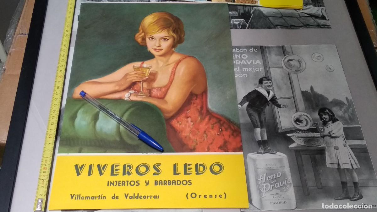 Coleccionismo Calendarios: CALENDARIO LAMINA BELLA IMAGEN DE 1962 - BRINDIS - P. SEGIM&Oacute;N / VIVEROS LEDO ( ORENSE )