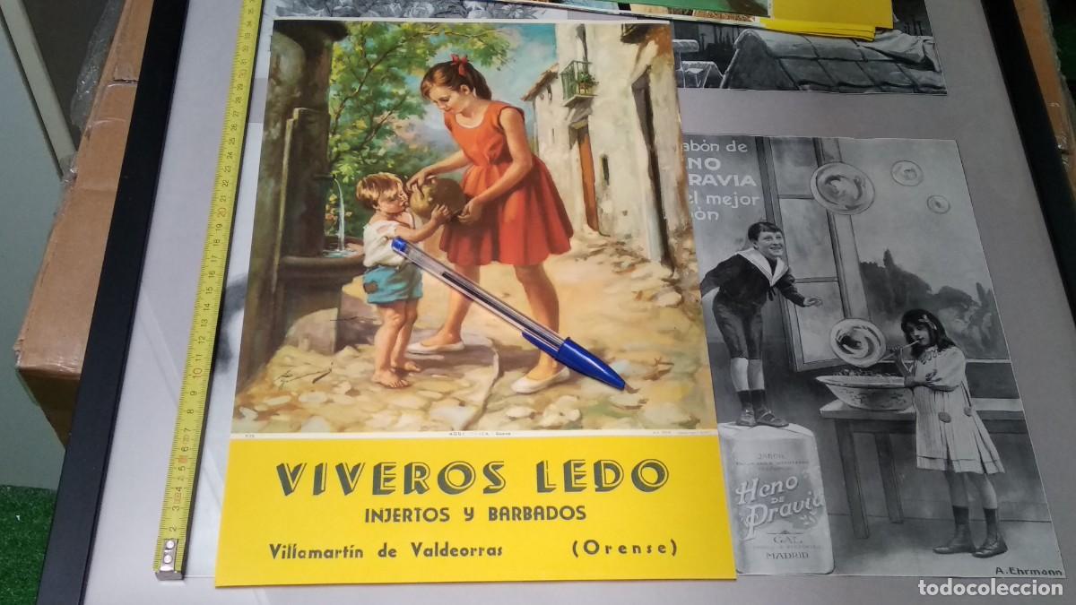 Sammeln von Kalendern: CALENDARIO LAMINA BELLA IMAGEN DE 1962 - AGUA FRESCA - GUARN&Eacute; / VIVEROS LEDO ( ORENSE )