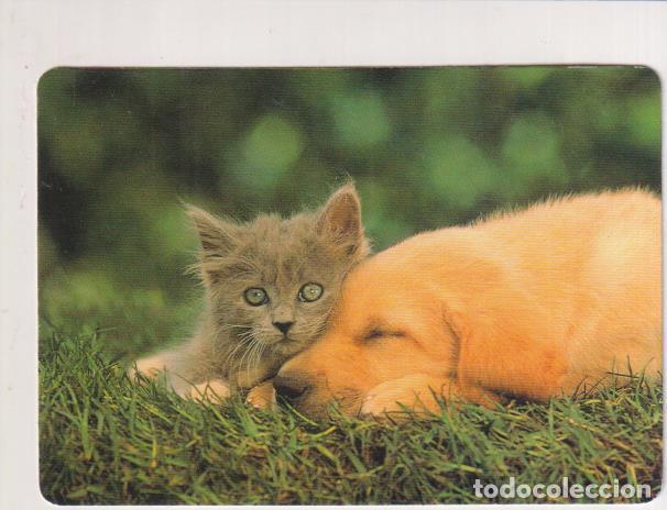 Coleccionismo calendarios: Calendario para 1999 - Foto 1