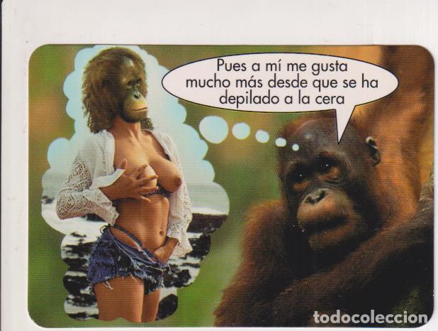 Coleccionismo calendarios: Calendario 2000. Publicidad Los Indecisos - Foto 1