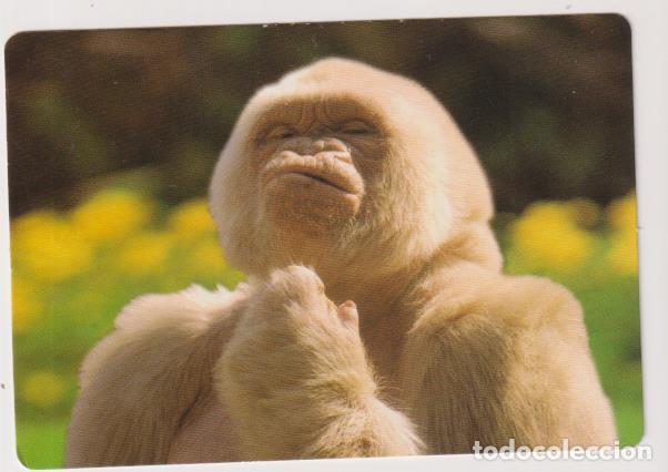 Coleccionismo calendarios: Calendario 2005. Publicidad - Foto 1