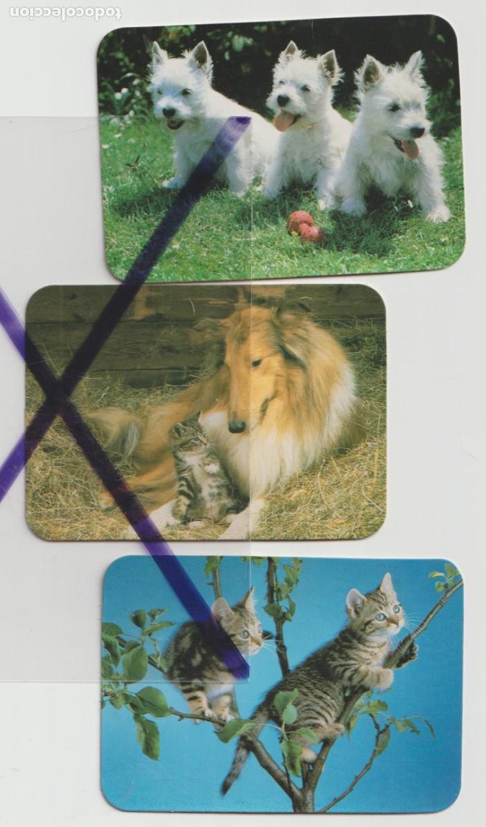 Collectionnisme Calendriers: 1987 3 CAL. PERRITOS, LASSIE GATITO, GATITOS - CONFECCIONS MARIA - L&acute;HOSPITALET BARCELONA (2)