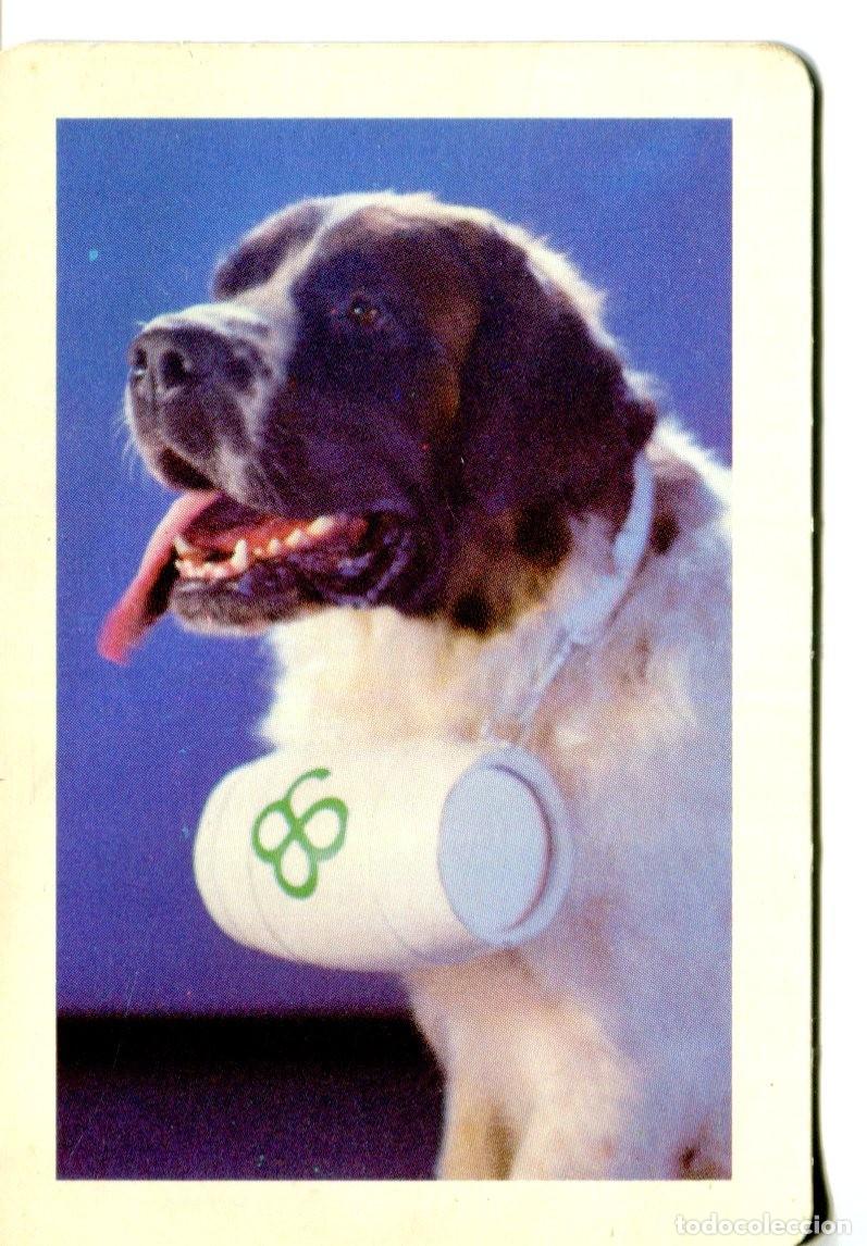 Coleccionismo calendarios: CALENDARIO DE BOLSILLO. GRUPO 86 SEGUROS. A&Ntilde;O 1989. perro