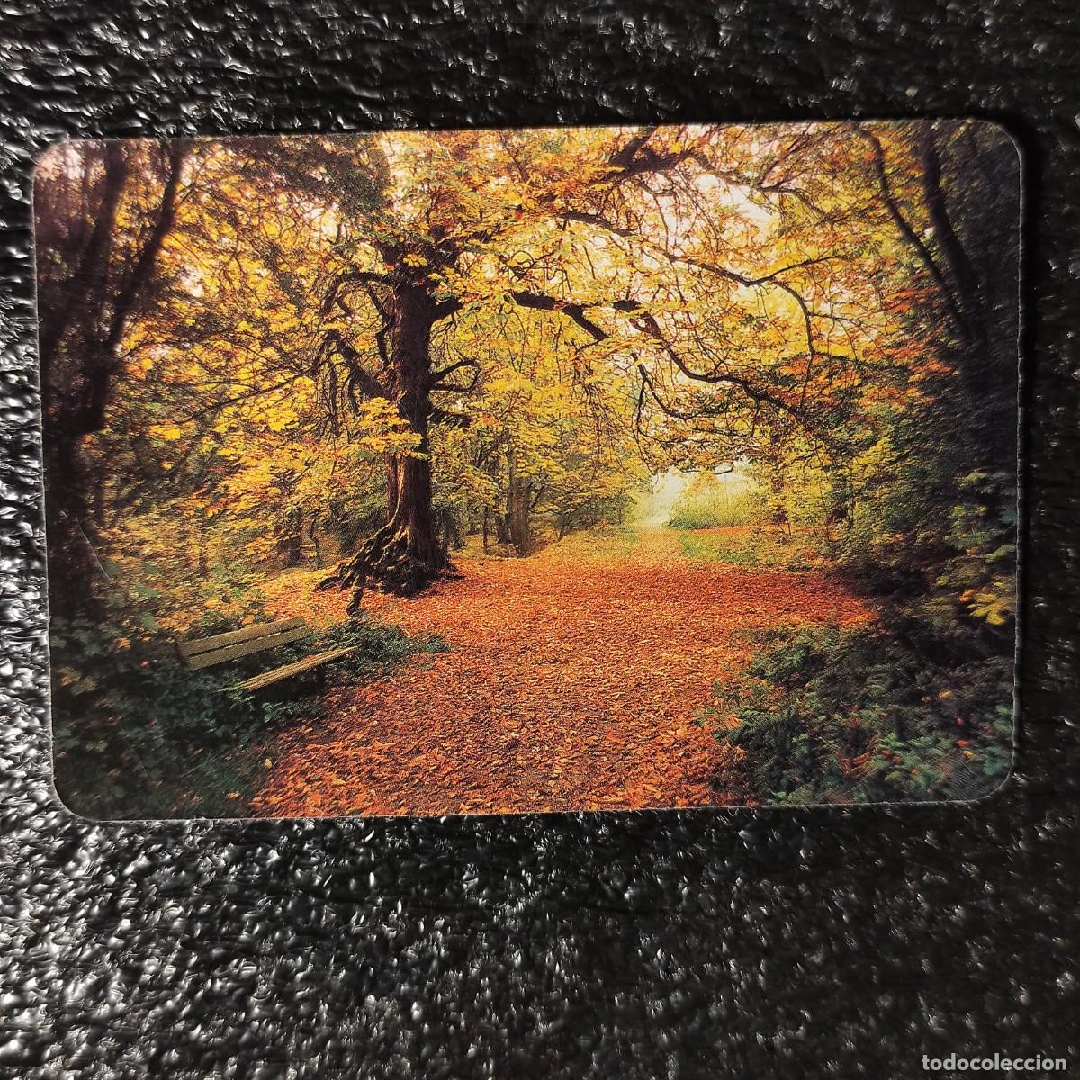 Coleccionismo Calendarios: CALENDARIO .El Parque Natural del Hayedo de Tejera Negra . Guadalajara 1995 *PAISAJE* T4