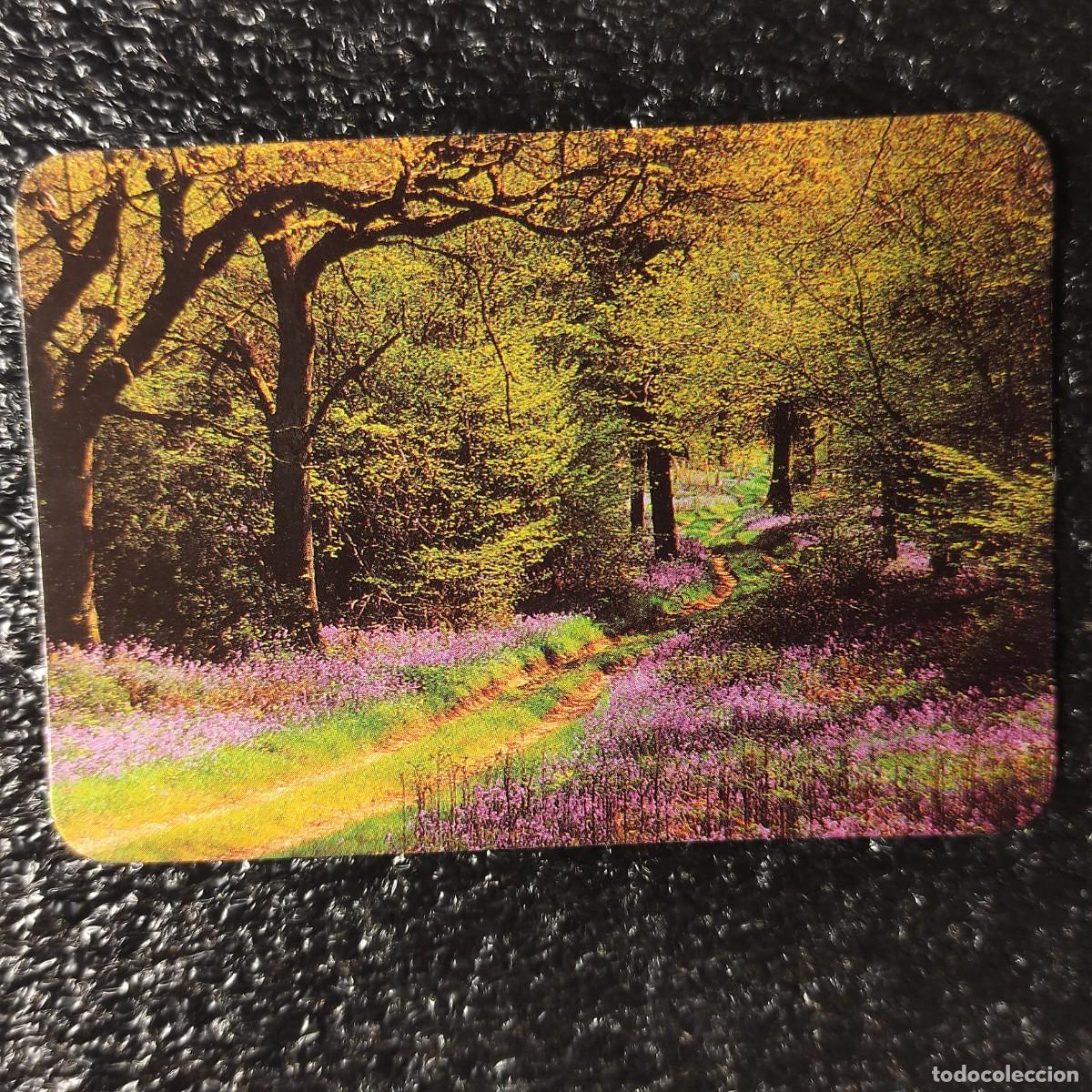 Collectionnisme Calendriers: CALENDARIO BOLSILLO . Bosque de Hallerbos ** BELGICA 1998 * PAISAJE * T4