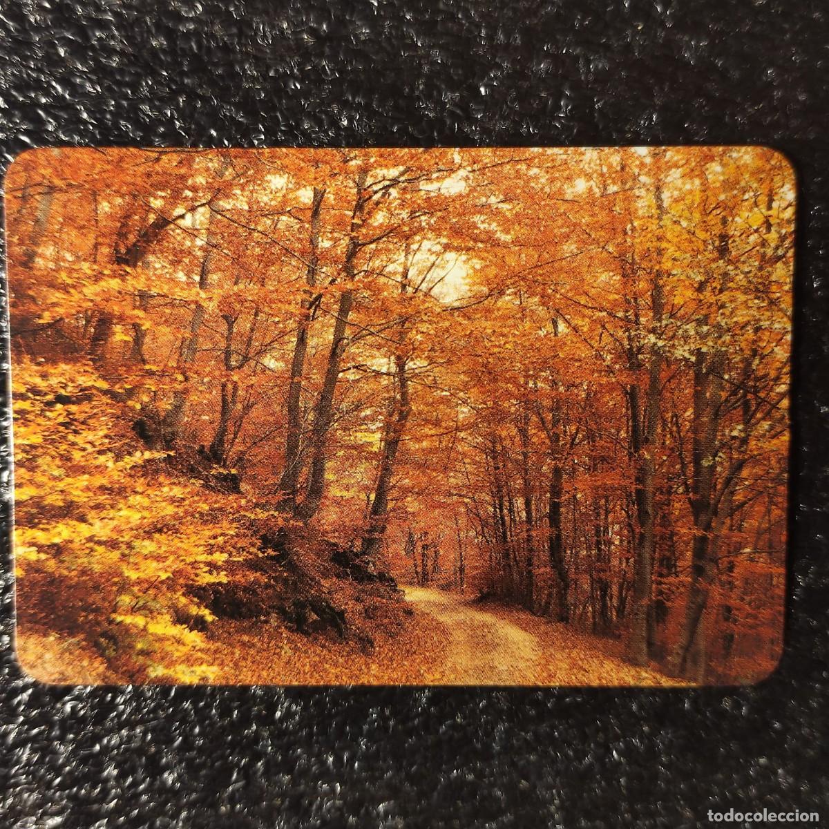 Collectionnisme Calendriers: CALENDARIO BOLSILLO . PIRINEO ARAGON&Eacute;S 1998 * PAISAJE * T4