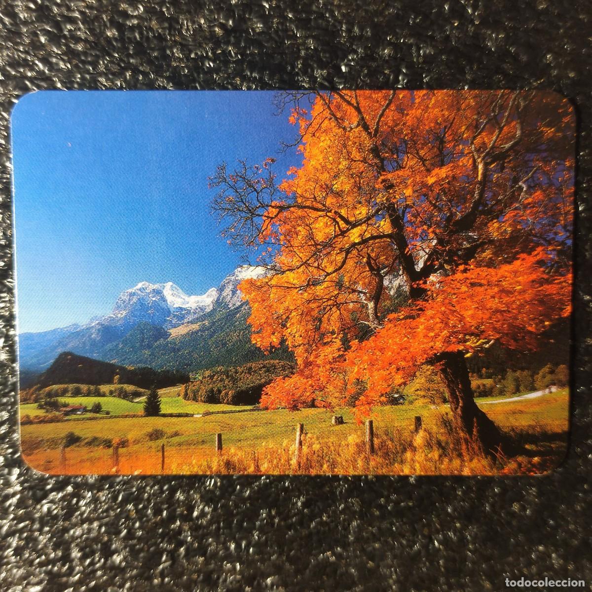 Sammeln von Kalendern: CALENDARIO BOLSILLO . SNOWLOAND * SUIZA 2000 ** PAISAJE ** T4