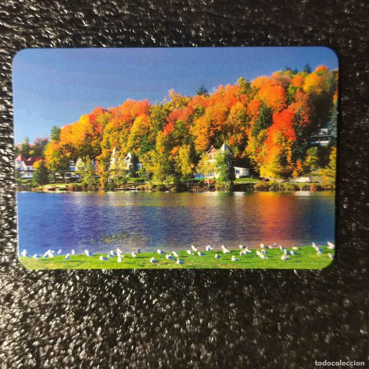 Sammeln von Kalendern: CALENDARIO BOLSILLO . Adirondack de Nueva York USA 2009 ** PAISAJE * T4