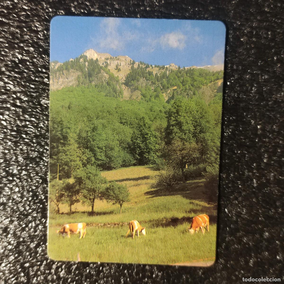 Sammeln von Kalendern: CALENDARIO BOLSILLO . ALPES SUIZOS 1997 * GANADO VACUNO ** PAISAJE * T4