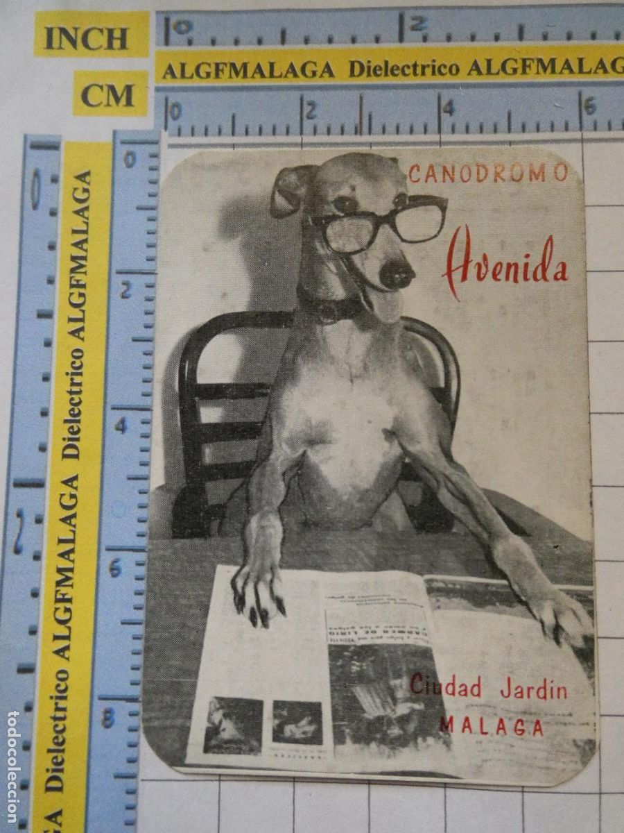 Collectables Calendars: CALENDARIO DE BOLSILLO A&Ntilde;O 1967. CAN&Oacute;DROMO AVENIDA CIUDAD JARD&Iacute;N M&Aacute;LAGA PERRO GALGO 218