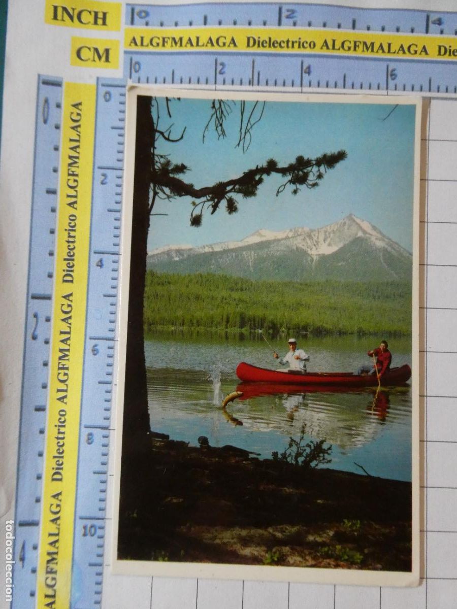 Collectionnisme Calendriers: CALENDARIO DE BOLSILLO. A&Ntilde;O 1968 TOALLAS ARDILLA. 351