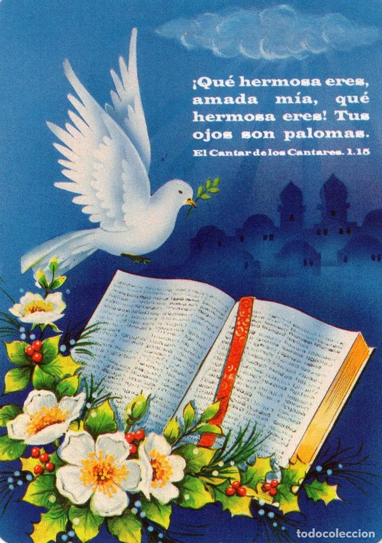 Coleccionismo calendarios: Calendario de Serie 1999 - SERIE - BO. 637