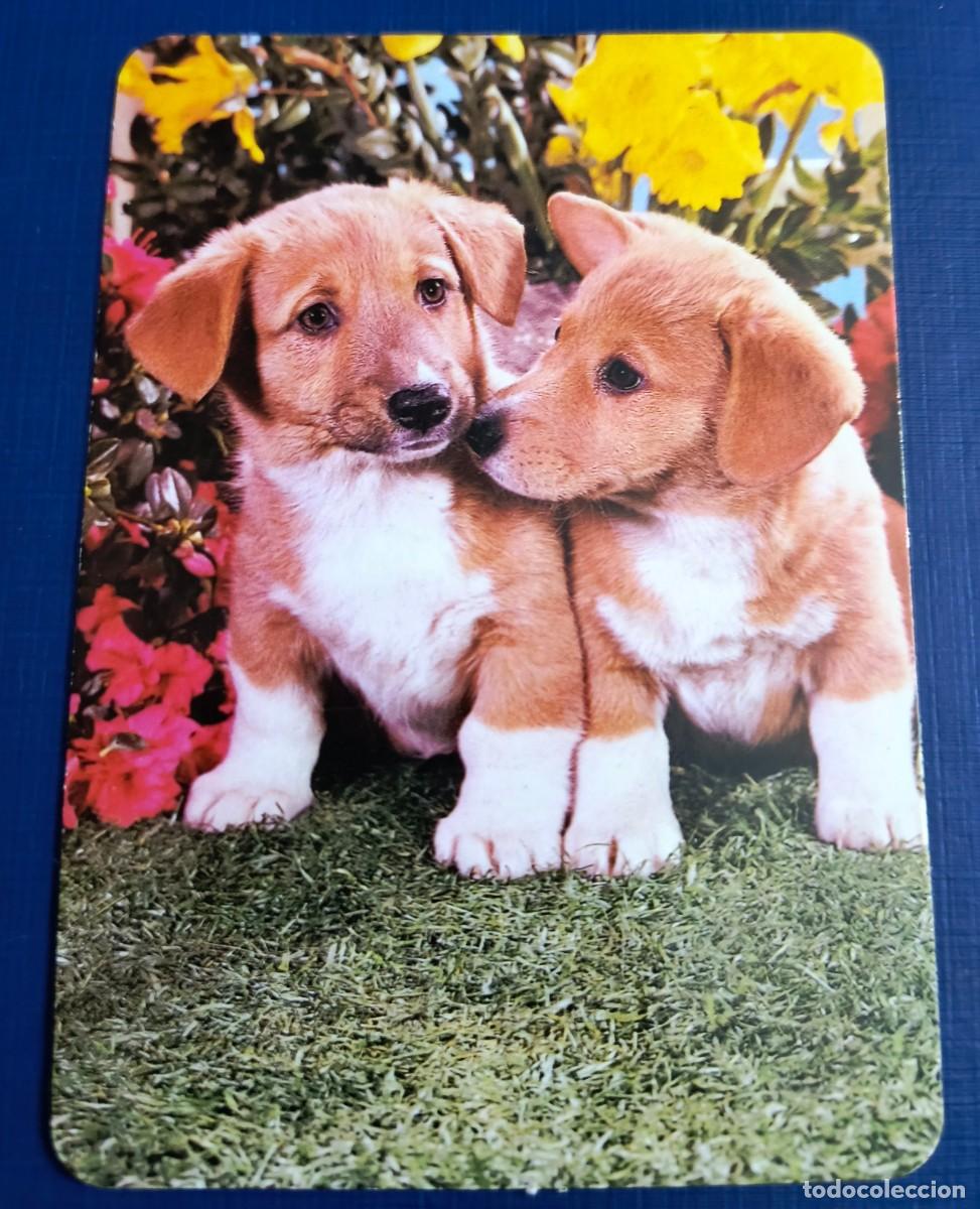 Coleccionismo Calendarios: CALENDARIO DE BOLSILLO PERRITOS - A&Ntilde;O 1990