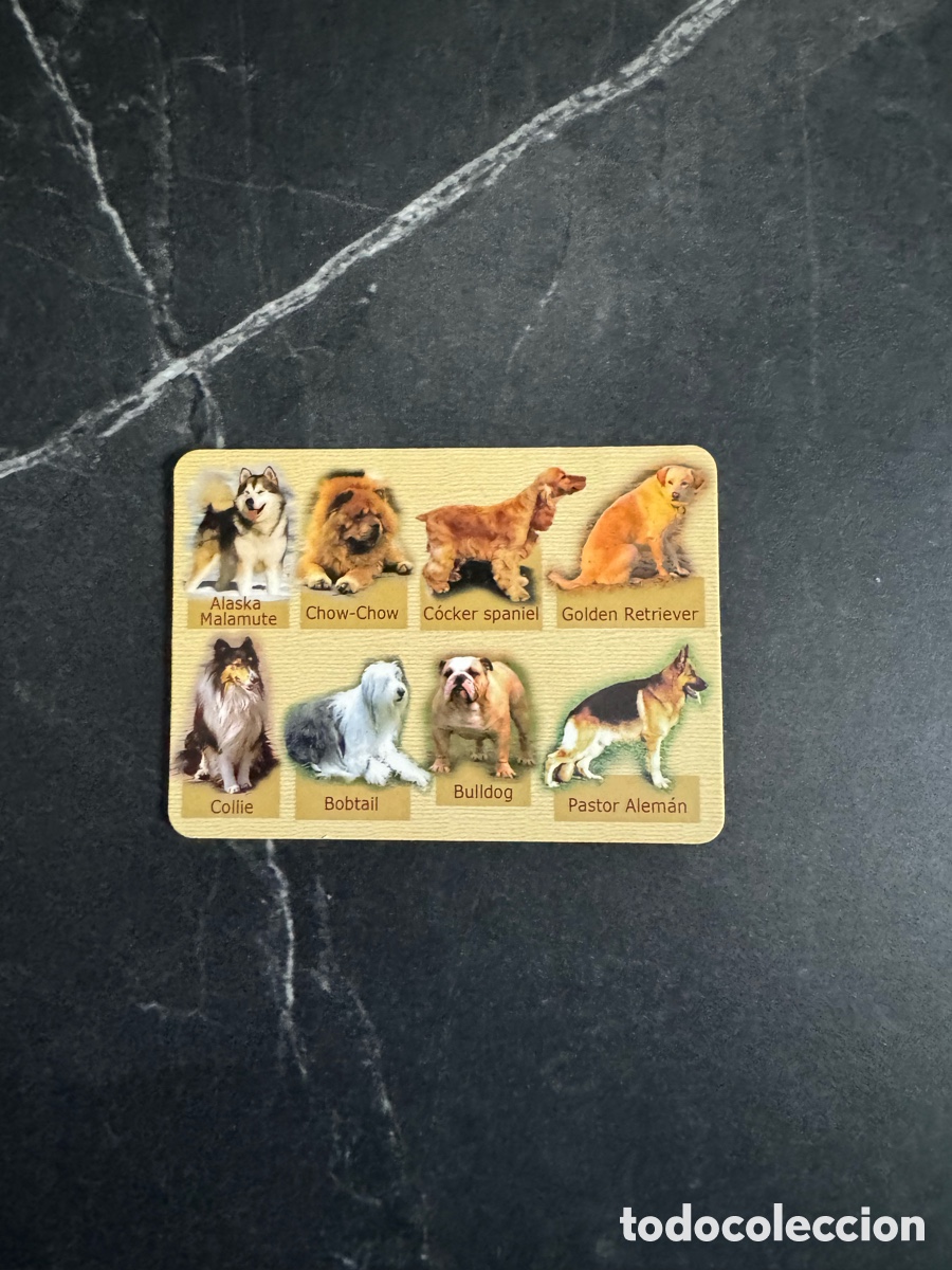 Coleccionismo Calendarios: Calendario publicitario animales 2007