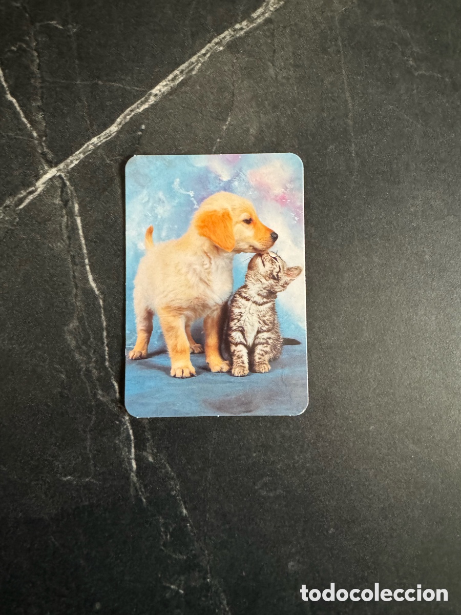 Coleccionismo Calendarios: Calendario publicitario animales 2007