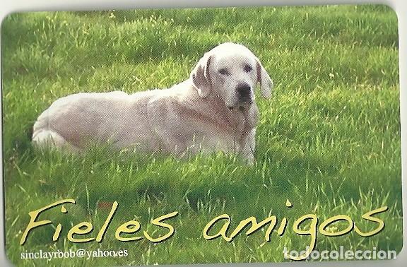 Coleccionismo calendarios: CALENDARIO FOURNIER. FIELES AMIGOS. PERRO. A&Ntilde;O 2014