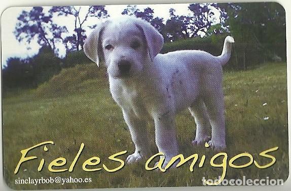 Coleccionismo calendarios: CALENDARIO FOURNIER. FIELES AMIGOS. PERRO. A&Ntilde;O 2014