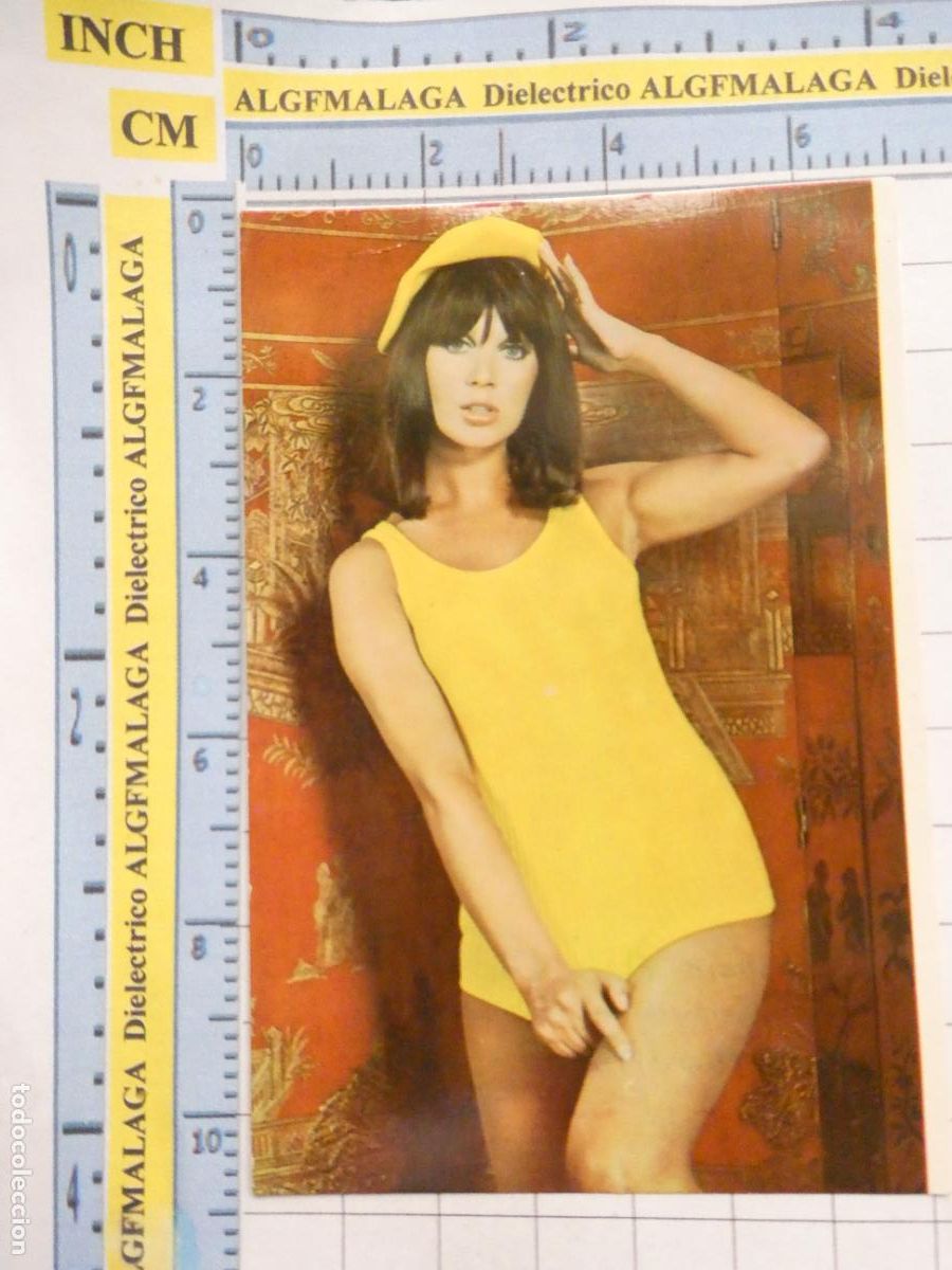 Collectionnisme Calendriers: CALENDARIO DE BOLSILLO. A&Ntilde;O 1969. SEXY ER&Oacute;TICA MUJER. PUBLICIDAD SASTRER&Iacute;A M&Aacute;LAGA 455