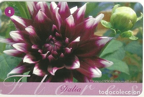Coleccionismo calendarios: CALENDARIO FOURNIER. FLORES. DALIA. A&Ntilde;O 2014