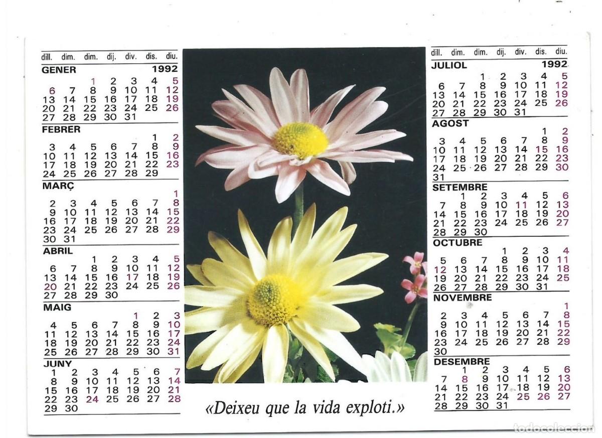 Sammeln von Kalendern: CALENDARIO A&Ntilde;O 1992.- OBRA BENEFICO-SOCIAL DE LOS HERMANOS DE SAN JUAN DE DIOS