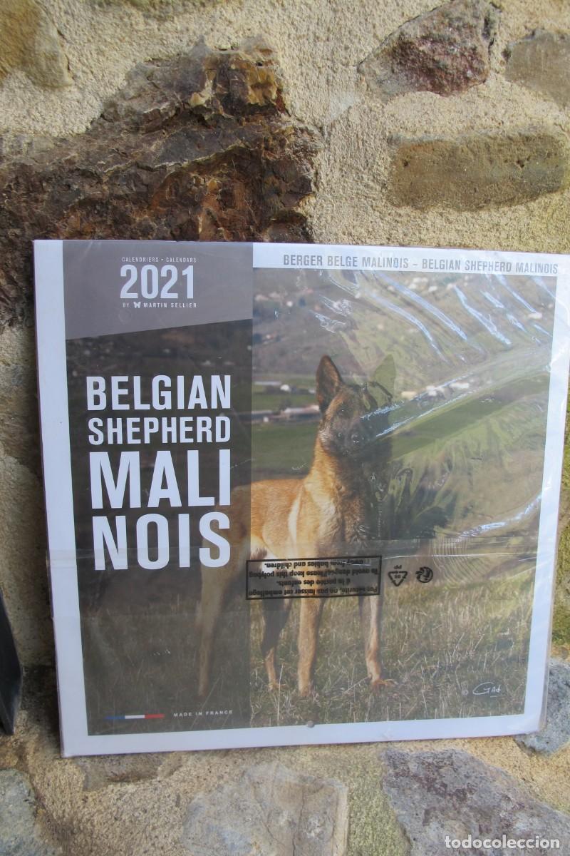 Sammeln von Kalendern: CALENDARIO 2021 PASTOR MALINOIS BELGA BELGIAN SHEPHERD. POR ESTRENAR EN SU PLASTICO