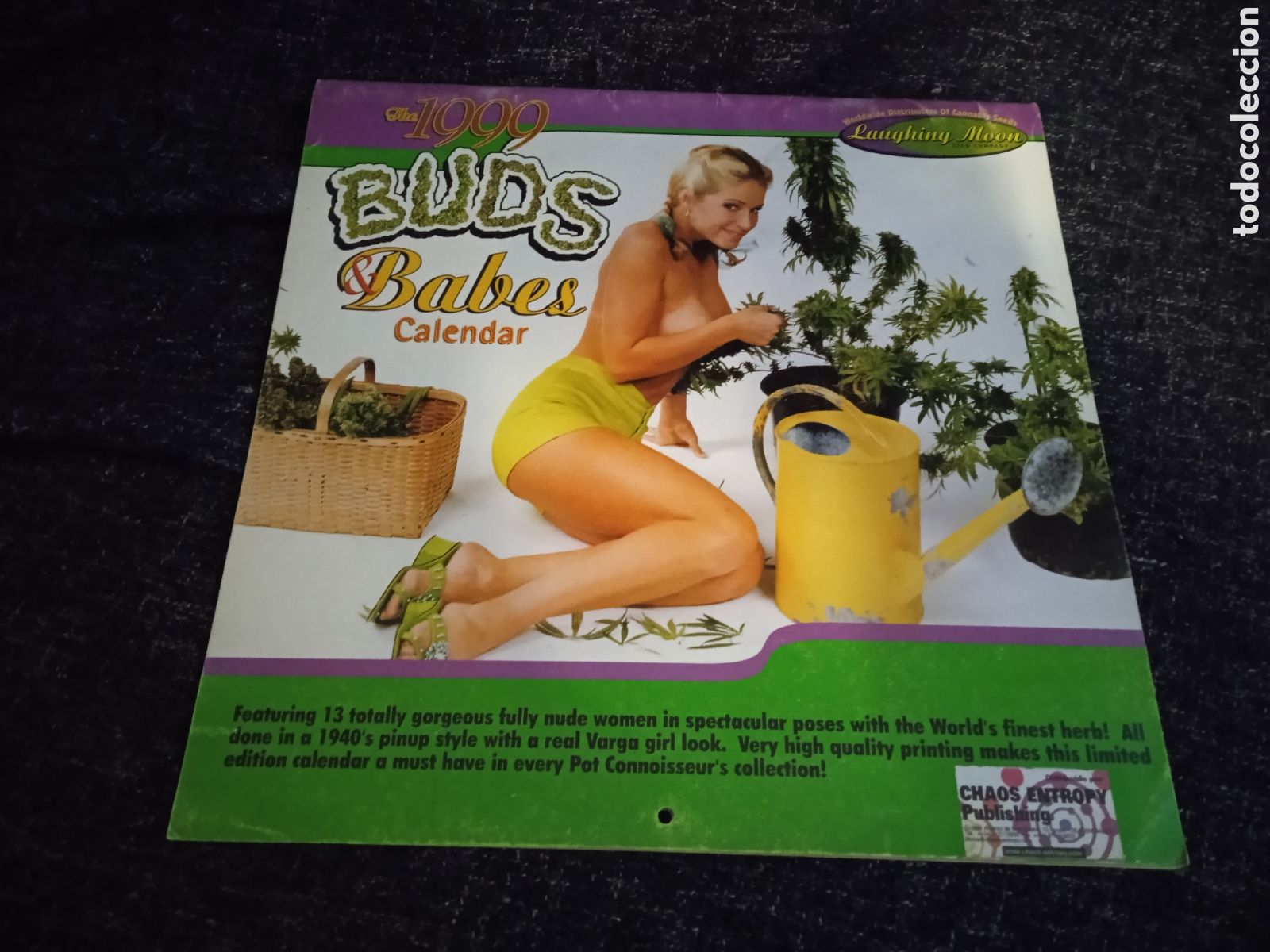 Coleccionismo calendarios: Laughing Moon Buds & Babes Calendar 1999 (nuevo precintado ) medidas: 30.50x30.50 cm... CANNABIS