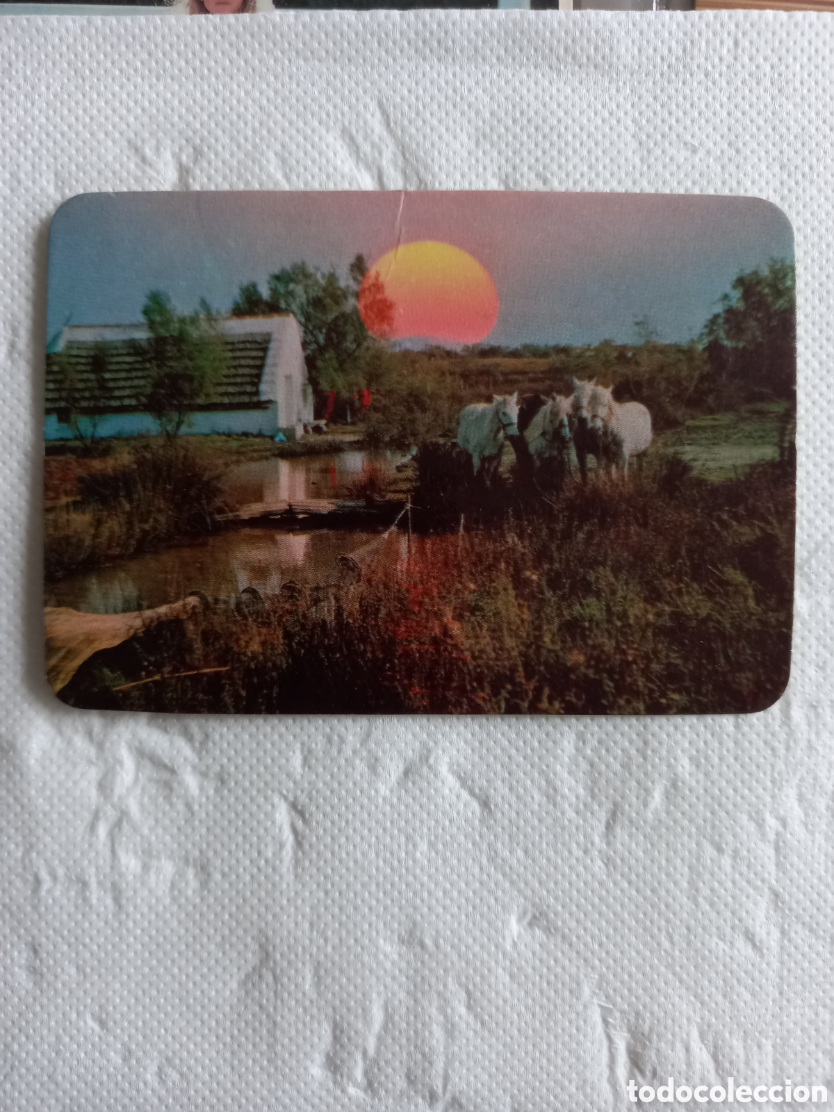 Coleccionismo Calendarios: CALENDARIO DE BOLSILLO A&Ntilde;O 1982 - ANIMALES, CABALLOS. BAR CASA LEONCIO (BENIDORM)